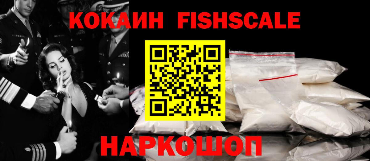 Cocaine Fish Scale  Вход с VPN  Щёкино 