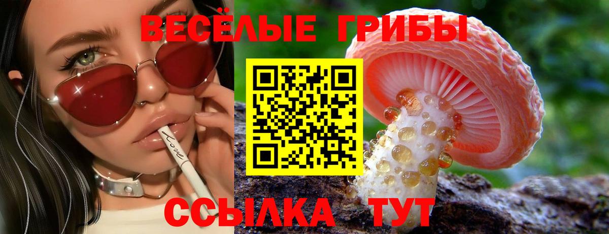 Галлюциногенные грибы Psilocybe  Псилоцибиновые грибы Magic Shrooms  Щёкино  Вход с VPN 