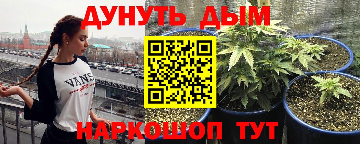 Конопля LSD WEED  Вход с VPN  Бошки марихуана семена  Щёкино 